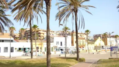Apartment in Alboraya photo 42