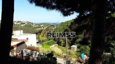House in Lloret de Mar photo 4