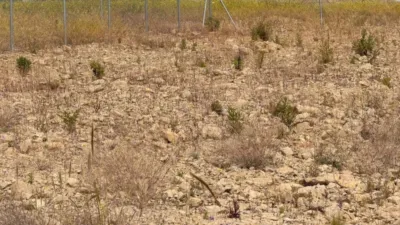 Terreno en venta en Estación de Monforte del Cid - Vista 4