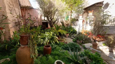 House in Sineu photo 30