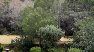 Terreno en venta en L'Albir - Vista 4
