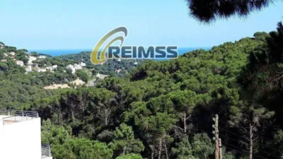 House in Lloret de Mar photo 10