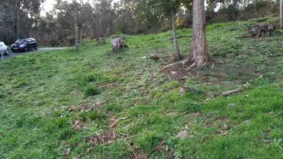 House in Cerdido photo 10