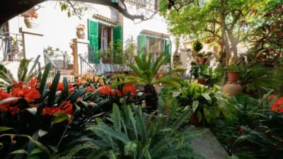 House in Sineu photo 4