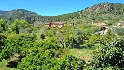 Chalet in Sóller photo 6