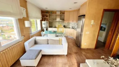 Chalet in El Pla photo 18