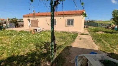 Chalet in Chinchilla de Monte-Aragón photo 34