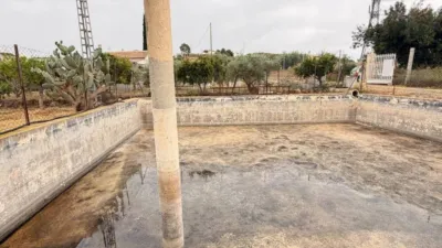 House in Elx - Elche photo 55