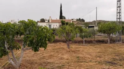House in Elx - Elche photo 69
