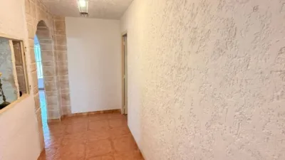 House in Elx - Elche photo 24