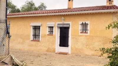 House in Elx - Elche photo 51