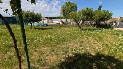 Chalet in Chinchilla de Monte-Aragón photo 41