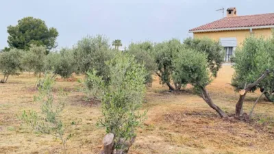 House in Elx - Elche photo 53