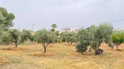 House in Elx - Elche photo 67