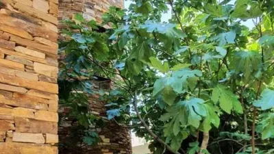 Chalet on Calle Residencial Guadalix I photo 20