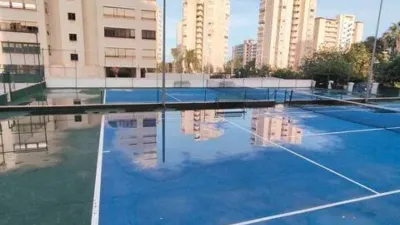 Apartment in Playa de San Juan photo 5
