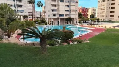 Apartment in Playa de San Juan photo 13