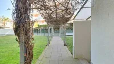 Apartment in Calonge photo 29