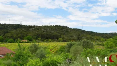 Villa in Begues photo 23