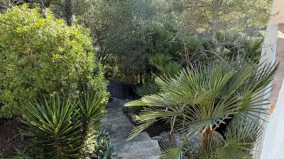 House in Olivella photo 32