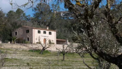 Rustic house in Sineu photo 34