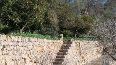 Rustic house in Sineu photo 10