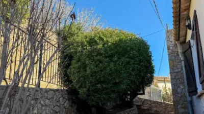 House in Olivella photo 33