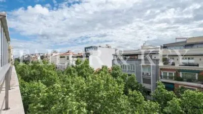 Penthouse in Recoletos photo 4