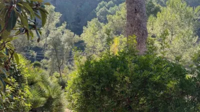 House in Olivella photo 35