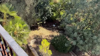 House in Olivella photo 37