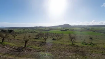 Rustic house in Sineu photo 14