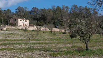 Rustic house in Sineu photo 23