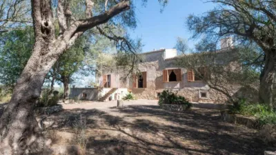 Rustic House in Sineu photo 55