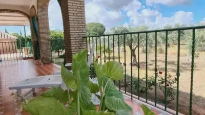 Chalet in Carmona photo 12