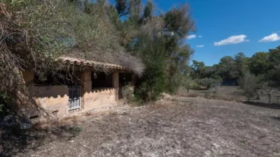 Rustic House in Sineu photo 58