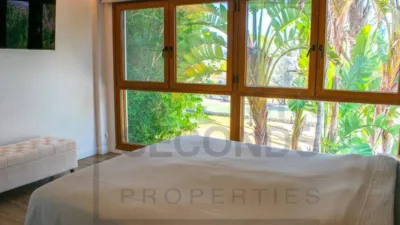 Villa in Algorfa photo 30