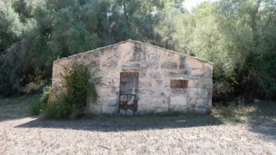 Rustic House in Sineu photo 59