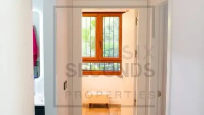 Villa in Algorfa photo 46