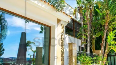 Villa in Algorfa photo 4