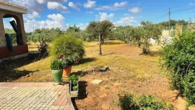Chalet in Carmona photo 7