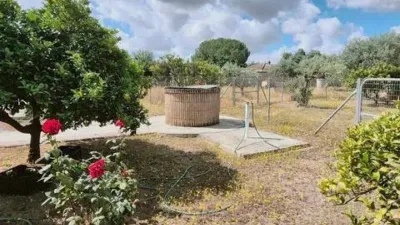 Chalet in Carmona photo 13