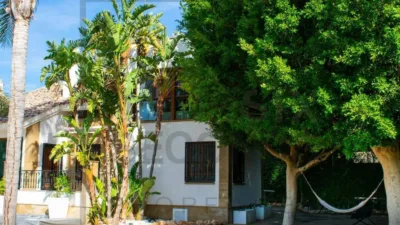 Villa in Algorfa photo 5