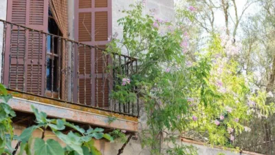 Rustic House in Sineu photo 64