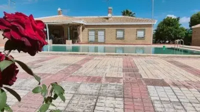 Chalet in Carmona photo 16