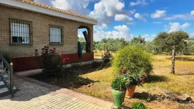 Chalet in Carmona photo 3