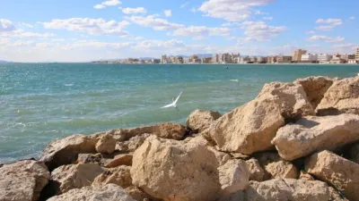 Apartment in Santa Pola photo 14