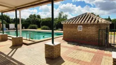 Chalet in Carmona photo 8