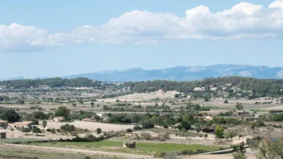 Rustic House in Sineu photo 66