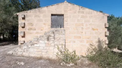 Rustic House in Sineu photo 53