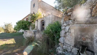 Rustic House in Sineu photo 44